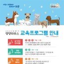 댕댕 하우스 이미지