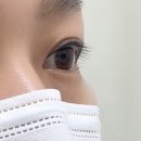 누디로우