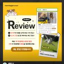 셀럽도기 이미지