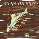 강릉솔향수목원 네이버블로그