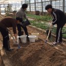 어등농장 이미지