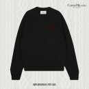 브라운독 이미지