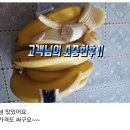 경매 바나나 1박스 19500원 무료배송 이미지