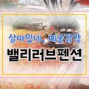 밸리러브