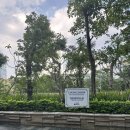 청담온누리약국 이미지