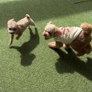 양산유치원 이미지