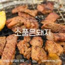 서울소껍데기 소구레 전문점 | [신월동맛집] 서비스 많이 나오는 흑돼지 양념갈비 돼지갈비 찐맛집 - 소품은돼지