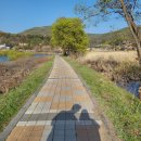 용설아트스페이스 | 경기도 안성 저수지 나만 알고 싶은 용설저수지(낚시/산책/피크닉)