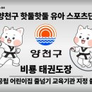 비룡태권도장 네이버블로그