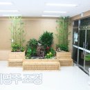 싱그런정원약국 이미지