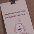 곰손카페 이미지