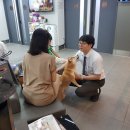 헬로동물병원 이미지