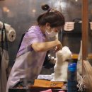 펫살롱모우 이미지