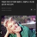 먼로컴퍼니