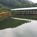 방아실낚시터 이미지