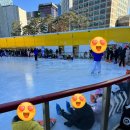 서울광장초등학교 | 서울광장 스케이트장 (26/2/8까지) 단체강습 후기 (초3 여아)