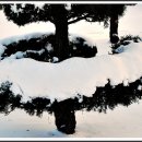 안산 식물원 이미지