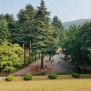 법기수원지 이미지