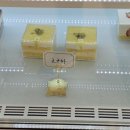 그여행포항역점