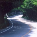 운수농장 이미지