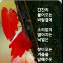 살아있는것이 축복입니다! 이미지