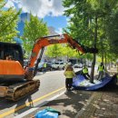 은행나무1길 이미지