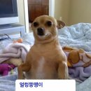 추