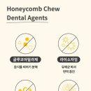 멍냥이꼬 이미지
