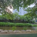 작은정원 이미지