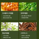 덴탈버디 | 강아지 치약 후기/온리버디 빠삐초이스 미니 덴탈 프레쉬 치약 추천 후기