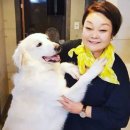 빅마마 이미지