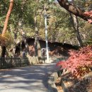 박달재휴양림 이미지