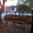 공원 벤치 의자 가로등 낙엽 가을 외로움 고독 이미지
