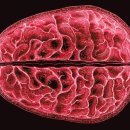 빅토리야(VIKTORIYA) 이미지