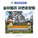 박문여고주변 주민공동이용시설 | 양양 송이밸리 자연휴양림 : 숲속의집 산양 객실, 부대시설, 주변 볼거리 추천
