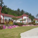 진도산새소리