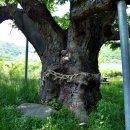 신촌마을 사람들 이미지