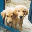 리버마운틴 이미지