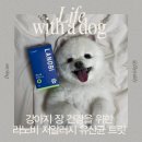 강아지 장 건강 유산균 추천 | 자노비 저알러지 강아지 유산균 트릿 :: 설사 변비 고민 끝!