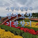 경기도 수원시 팔달구 장다리로195번길 15 (인계동, 가람주택) | 수원시 팔달구 장기요양기관, 재가요양기관 찾기
