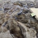 수선세탁 이미지