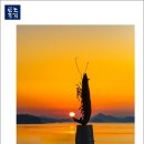 임자 전장포 새우젓토굴 이미지