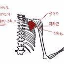 용암형제한의원 이미지