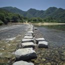 징검다리 이미지
