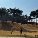 양지골프레인지 | 그렇게 좋다던 골프존카운티 화랑cc 1박2일 패키지 직접 다녀온 후기 (라운딩, 골프텔, 그늘집, 조식 등)