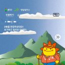 세움영남