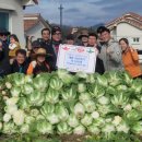 훈훈 농장 이미지