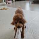 그룸 앤 먼치 네이버블로그
