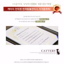 광주캐터리 이미지