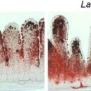 원리1호 이미지